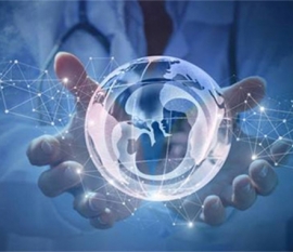 杭州哪个医院生殖中心的试管成功率比较好